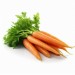 Carrot Orange - Image 2